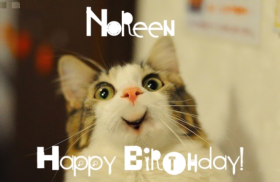 Funny Birthday for Noreen Pics