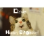 Funny Birthday for Clyde Pics