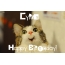 Funny Birthday for Cyrus Pics