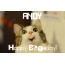 Funny Birthday for ANDY Pics