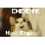 Funny Birthday for CHEYENNE Pics