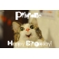 Funny Birthday for Primrose Pics