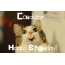 Funny Birthday for Candace Pics