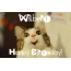 Funny Birthday for Wilbert Pics