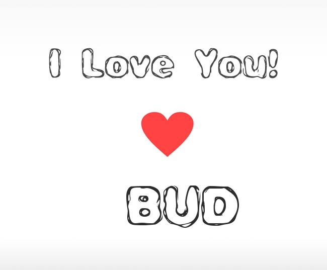 I Love You Bud