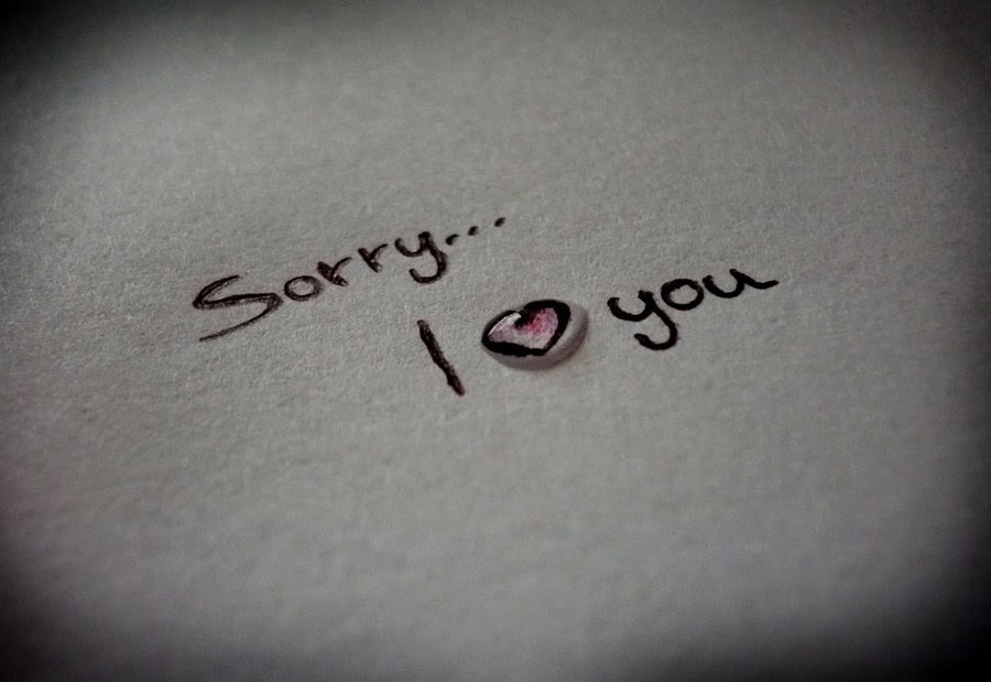 Sorry/// I Love you!