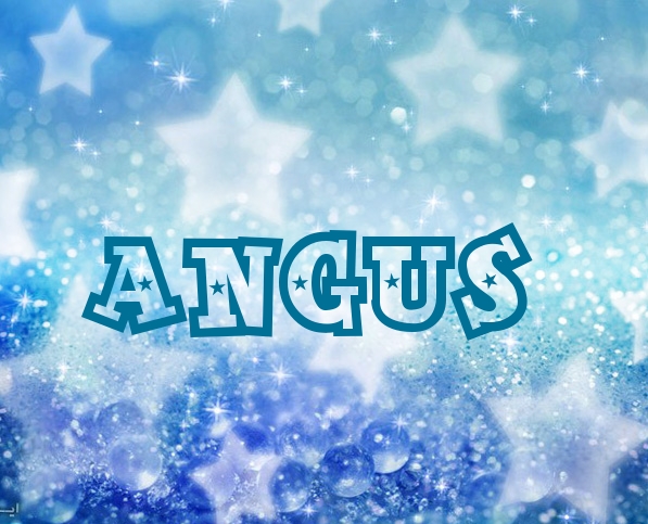 Pictures with names Angus Pictures with names Angus