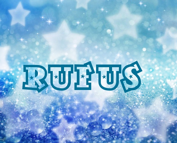 Pictures with names Rufus Pictures with names Rufus