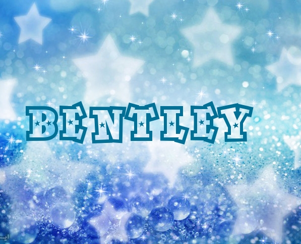Pictures with names Bentley Pictures with names Bentley