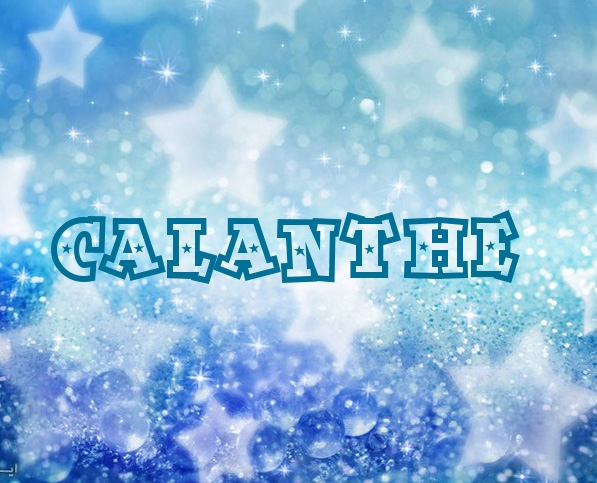 Pictures with names Calanthe Pictures with names Calanthe