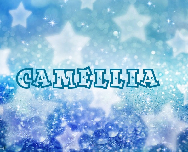 Pictures with names Camellia Pictures with names Camellia