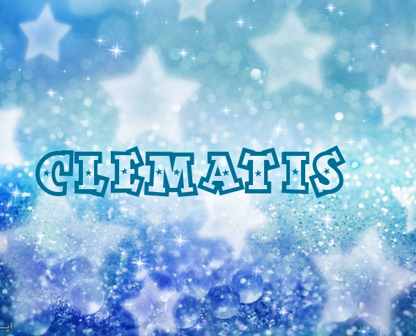 Pictures with names Clematis Pictures with names Clematis