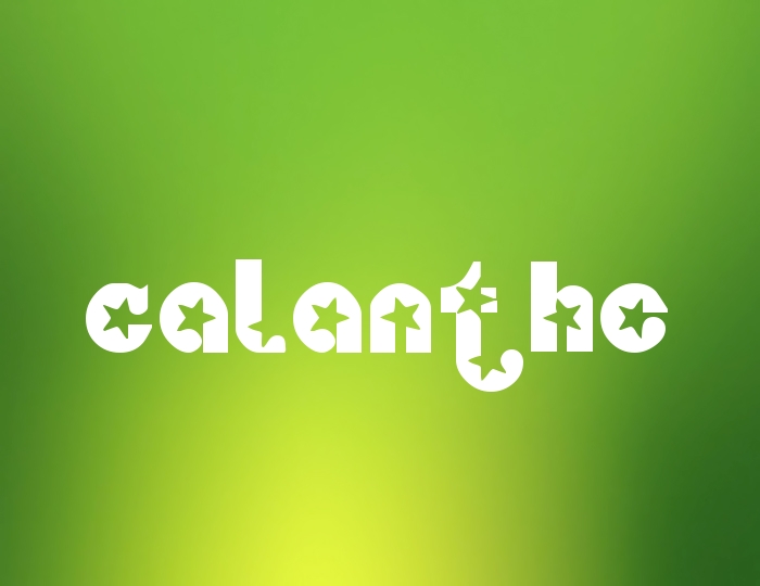 Pictures with names Calanthe Pictures with names Calanthe