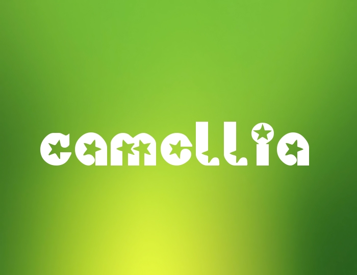 Pictures with names Camellia Pictures with names Camellia