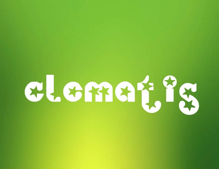 Pictures with names Clematis Pictures with names Clematis