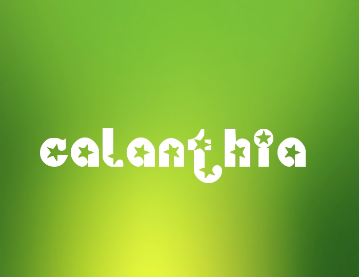 Pictures with names Calanthia Pictures with names Calanthia