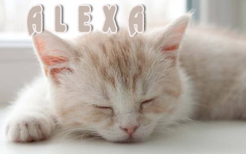 Pictures with names Alexa Pictures with names Alexa