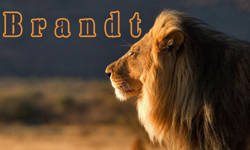 Pictures with names Brandt Pictures with names Brandt