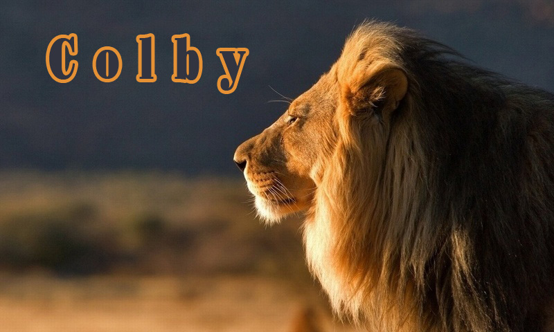 Pictures with names Colby Pictures with names Colby