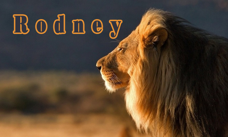 Pictures with names Rodney Pictures with names Rodney