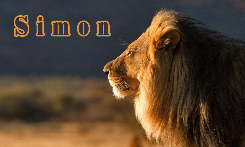 Pictures with names Simon Pictures with names Simon