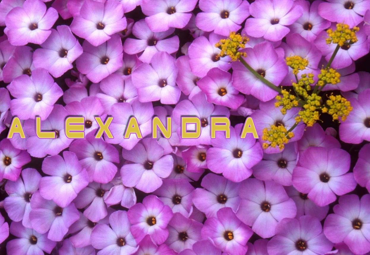 Pictures with names Alexandra Pictures with names Alexandra