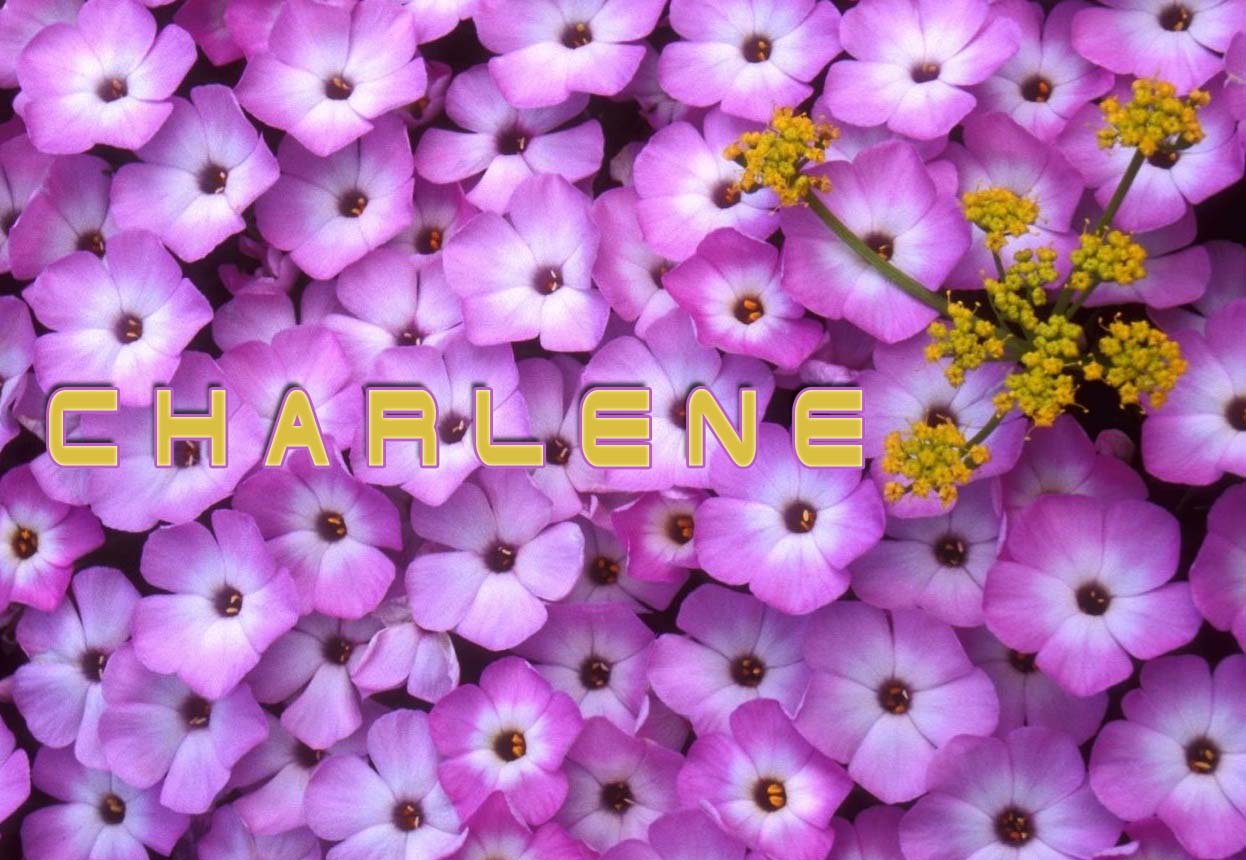 Pictures with names Charlene Pictures with names Charlene