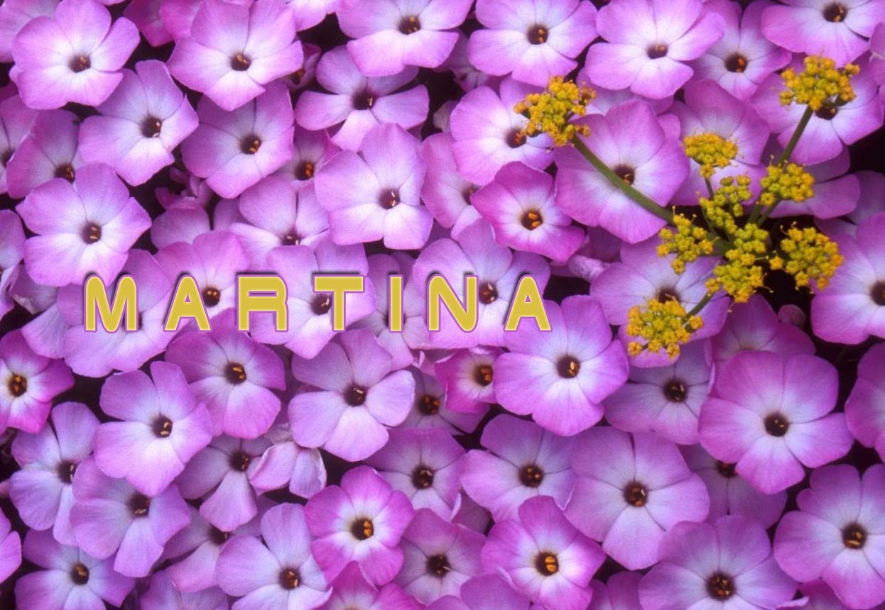 Pictures with names Martina Pictures with names Martina