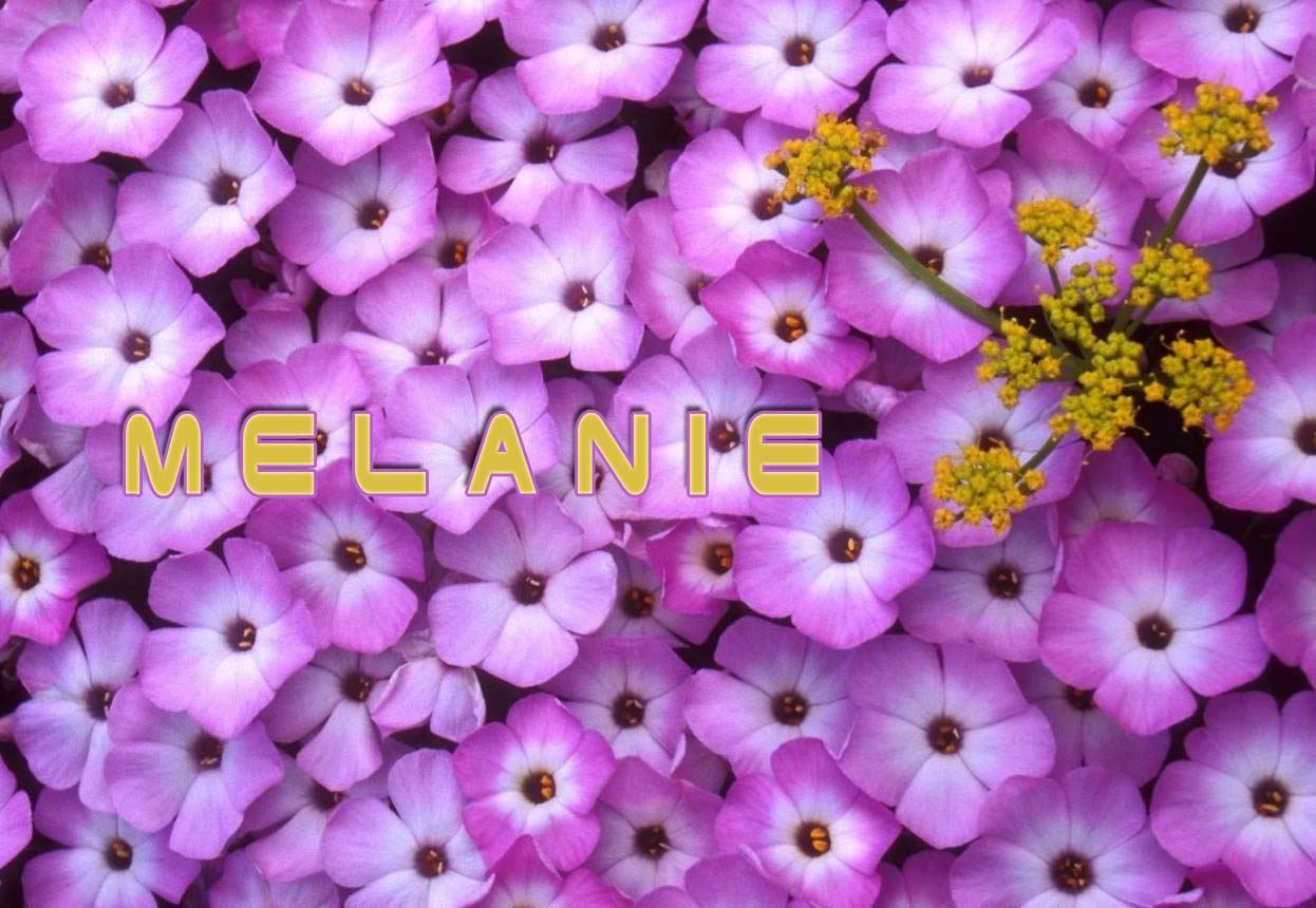 Pictures with names Melanie Pictures with names Melanie