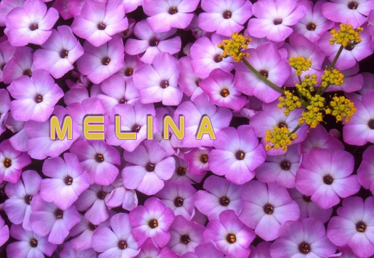 Pictures with names Melina Pictures with names Melina