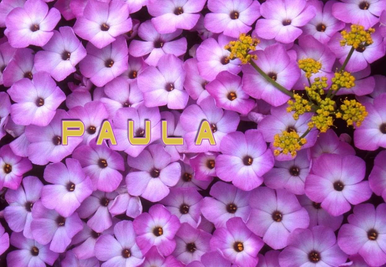 Pictures with names Paula Pictures with names Paula