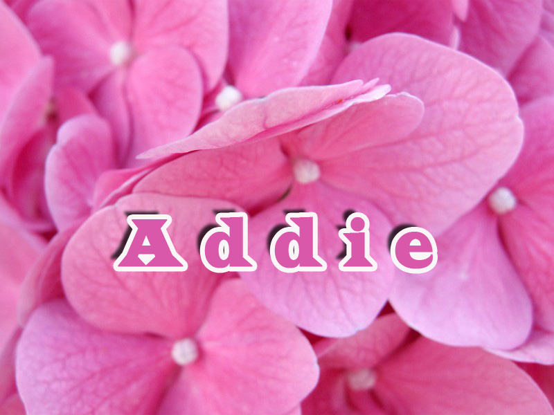 Pictures with name Addie.