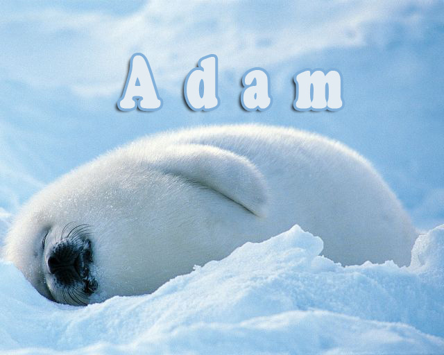 Pictures with names Adam Pictures with names Adam