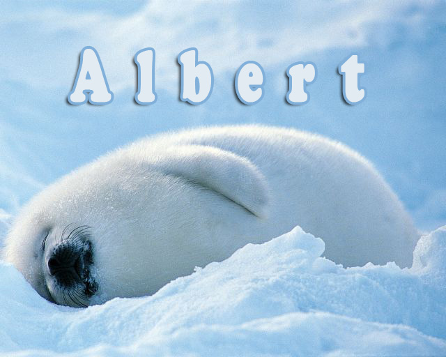 Pictures with names Albert Pictures with names Albert