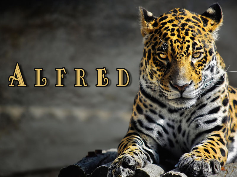 Pictures with names Alfred Pictures with names Alfred