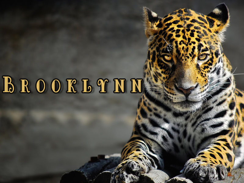 Pictures with names Brooklynn Pictures with names Brooklynn