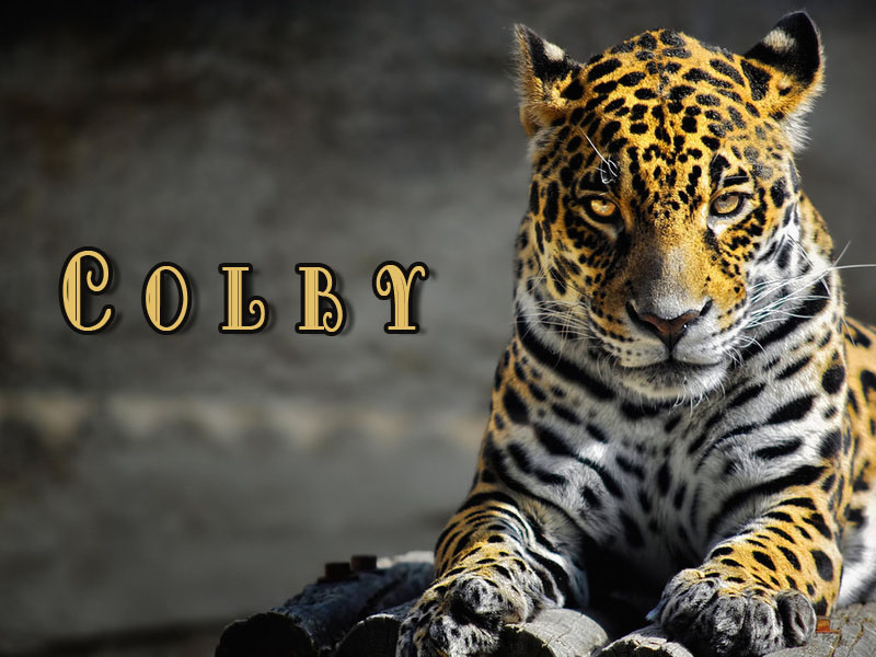 Pictures with names Colby Pictures with names Colby