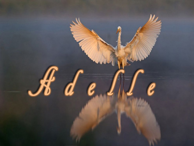 Pictures with names Adelle Pictures with names Adelle