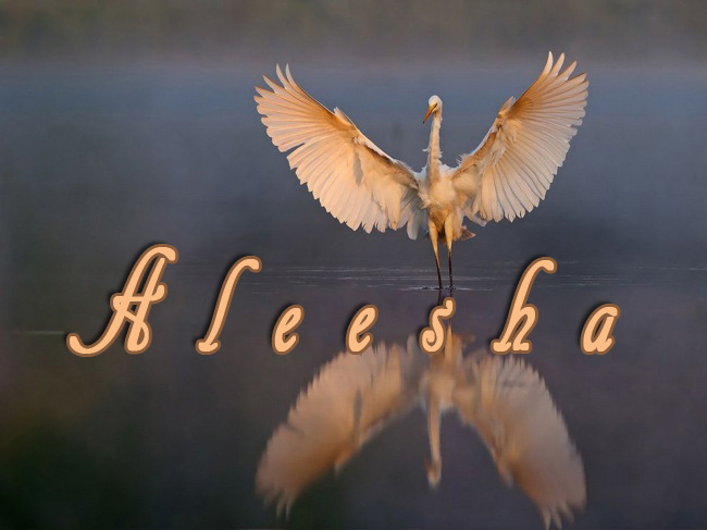 Pictures with names Aleesha Pictures with names Aleesha