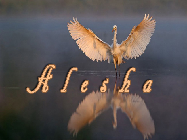 Pictures with names Alesha Pictures with names Alesha