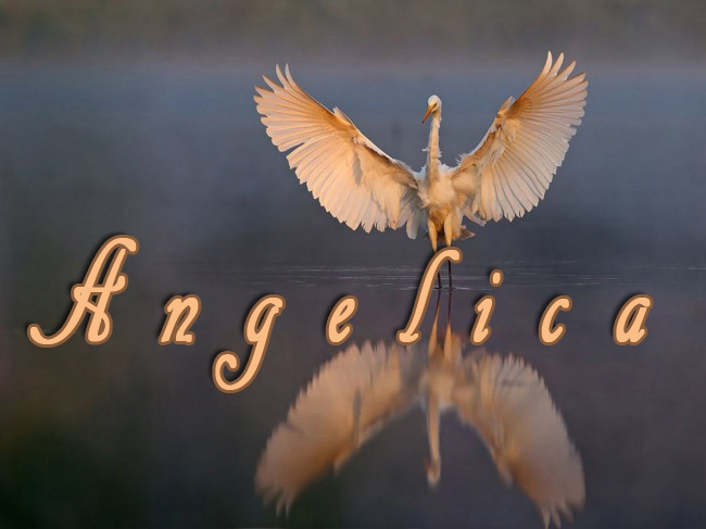 Pictures with names Angelica Pictures with names Angelica