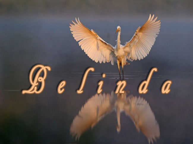 Pictures with names Belinda Pictures with names Belinda