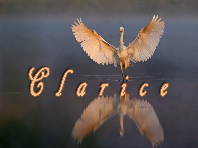 Pictures with names Clarice Pictures with names Clarice