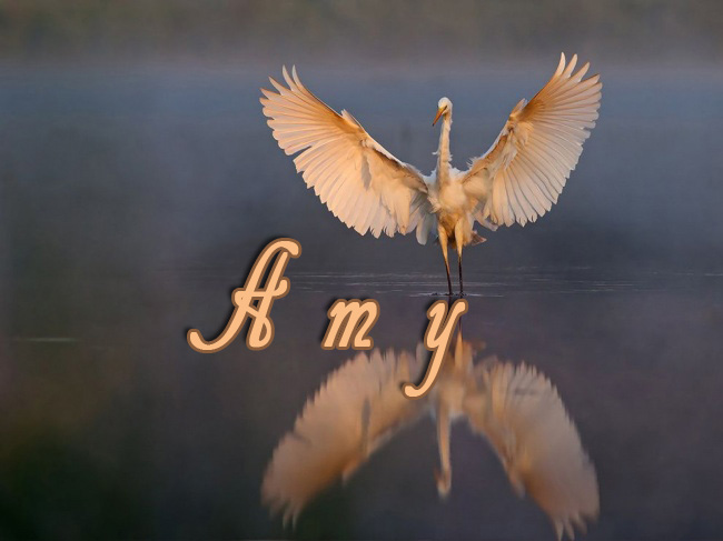 Pictures with names Amy Pictures with names Amy