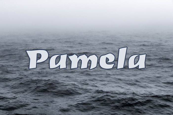 Pictures with names Pamela Pictures with names Pamela