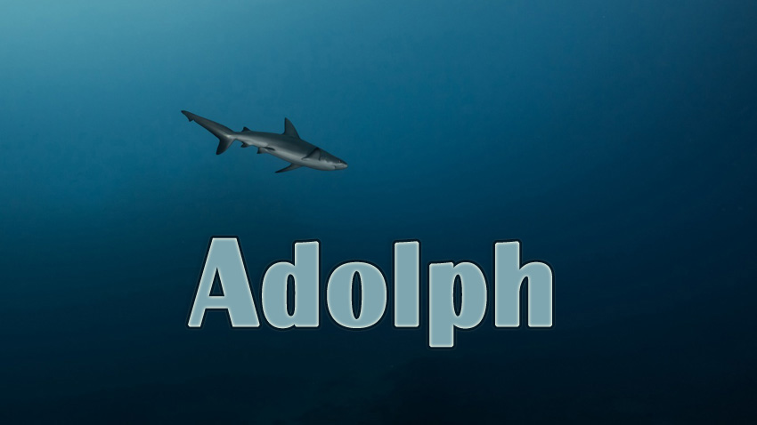 Pictures with names Adolph Pictures with names Adolph