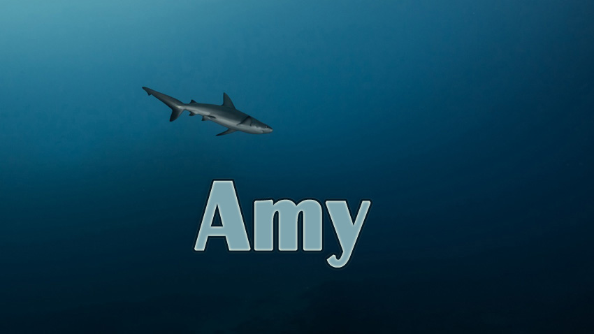 Pictures with names Amy Pictures with names Amy