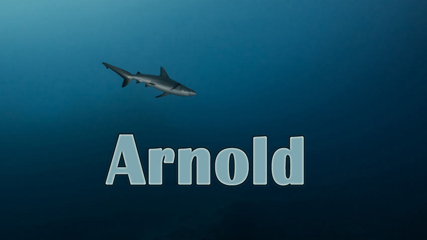 Pictures with names Arnold Pictures with names Arnold