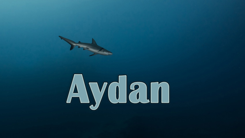 Pictures with names Aydan Pictures with names Aydan