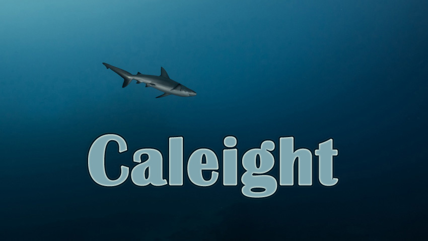 Pictures with names Caleigh Pictures with names Caleigh